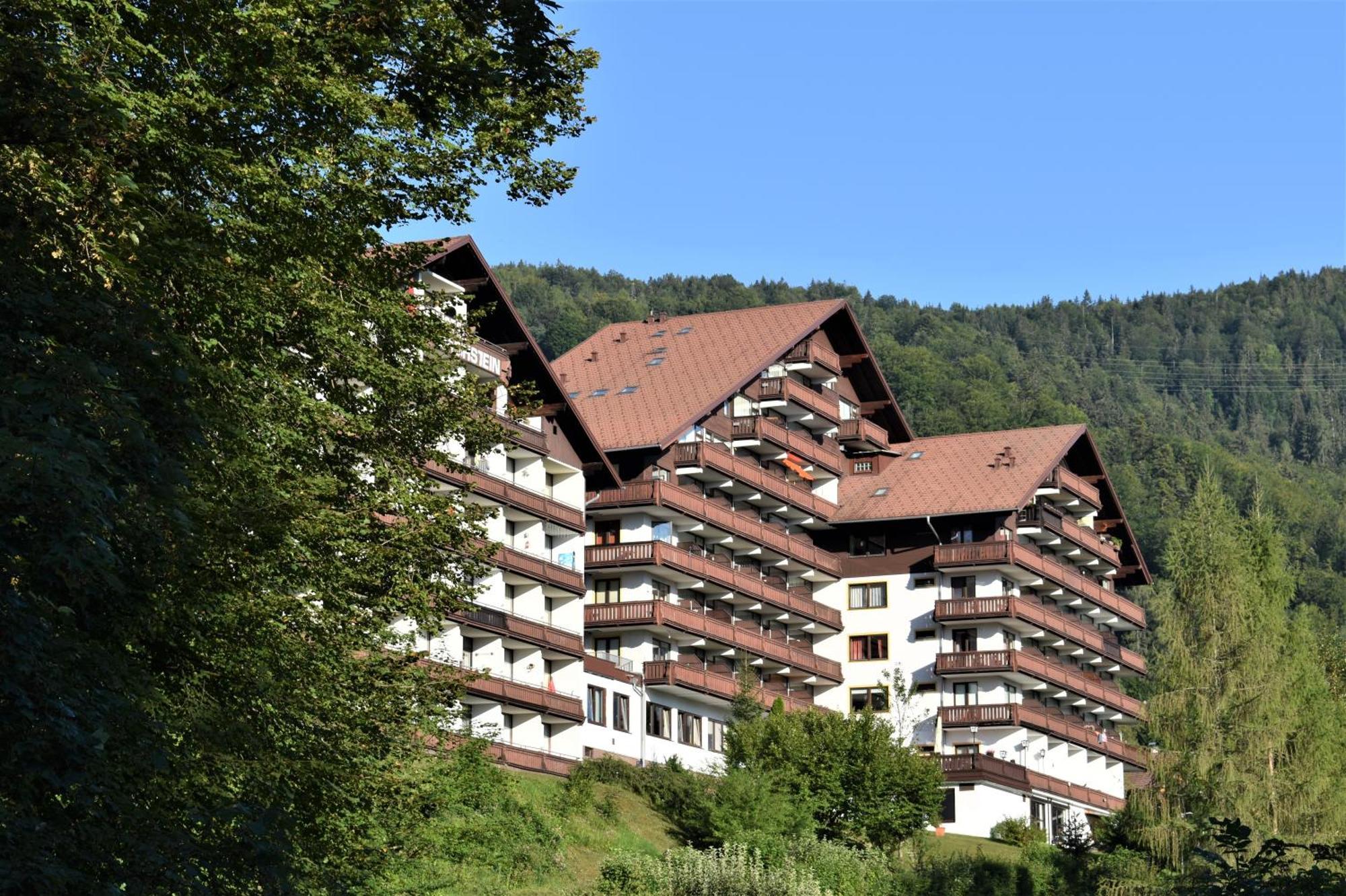 Apartment D 'Freizeit Bad Goisern Buitenkant foto